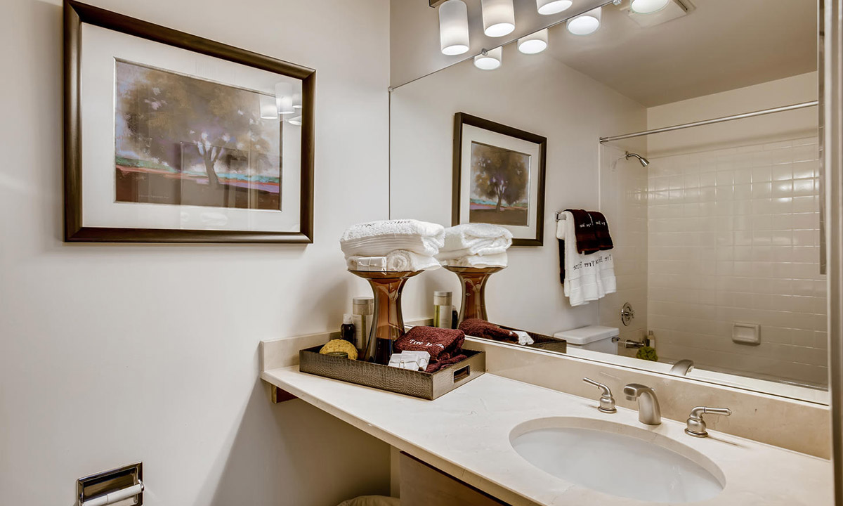 Features  4 | The Treehouse of Schaumburg Luxury Apartment living in Schaumburg